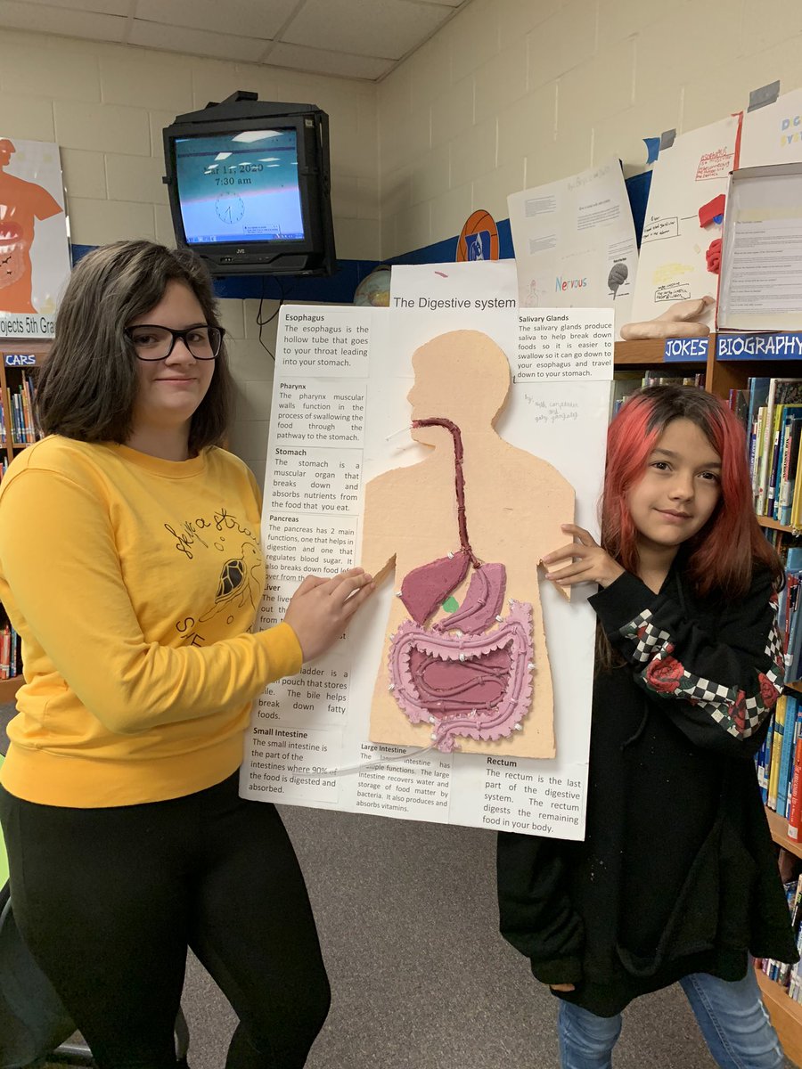 Holmes1Et's tweet photo. Fabulous work on their Body Systems project by partners Kaylah Carpenter and Gabby Gonzales. They were chosen best project by their 5th grade peers! @FairviewES_NC @KellySThomas @MeltonsMagic @AGHoulihan @judydteach4 @UCPS_MonroeNC https://t.co/NyaqbStbCO