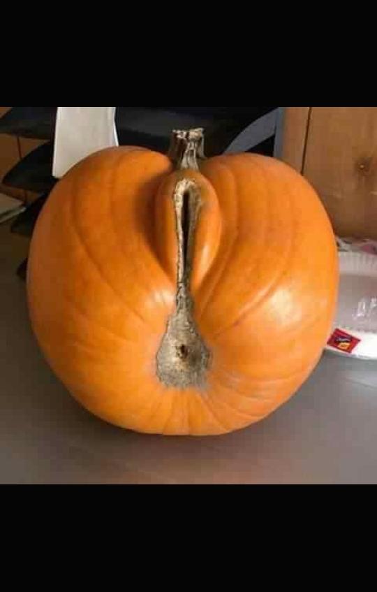 Jonathan4291's tweet photo. Oikulya oho ndjo😂🤣😁😂😂 https://t.co/UE6ocdFVDl