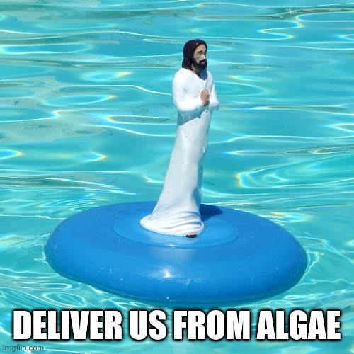 ImThePoolGirl's tweet photo. #ChlorineJesus https://t.co/UE6xDFN6Rr