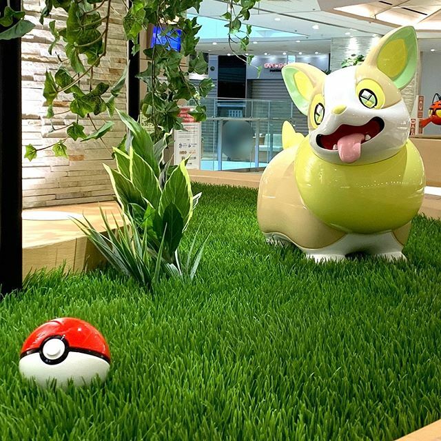 だい ほっしー ワパワパ ワンパチ ポケモンセンター ポケモン Yamper Pokemoncenter Pokemon T Co Eqvdsqg8l3 T Co 8vdiqwclel Twitter