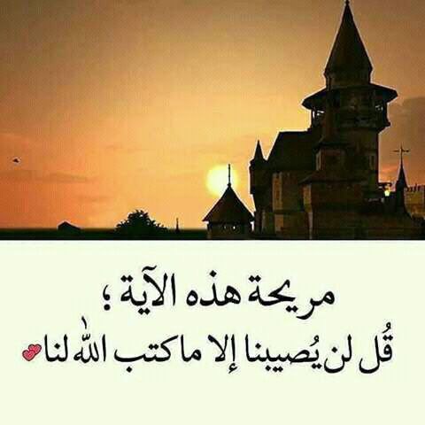 m16150262's tweet photo. "قُل للرياح تأتي كيفما شاءت
فما عادت سُفننا تشتهي شيئا."
#مساء_الخير https://t.co/H1AL61ZQEy