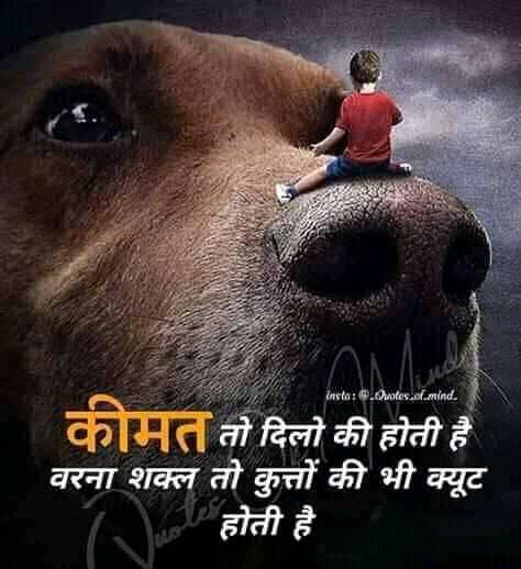 for more post
amzn.to/39IcTqz visit this link