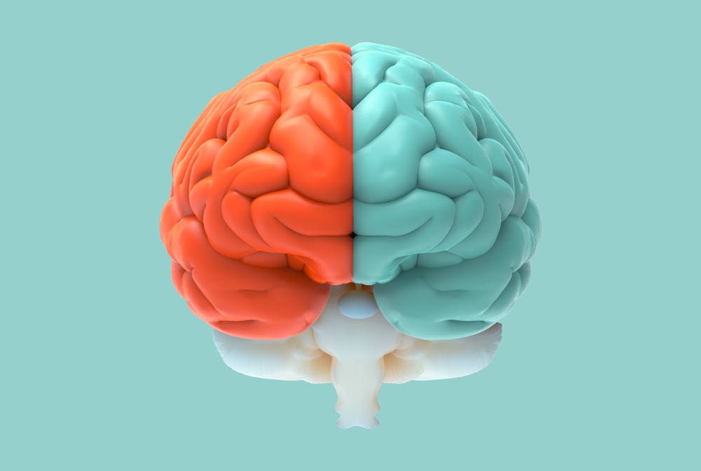 taniaseary's tweet photo. Are you tuned in to @procurious_ #bigideas2020?  We’re learning how to “awaken” parts of our brain to develop new talents!!!  Tune in here: https://t.co/Umb1FHqPxN https://t.co/XFaOsnpie6