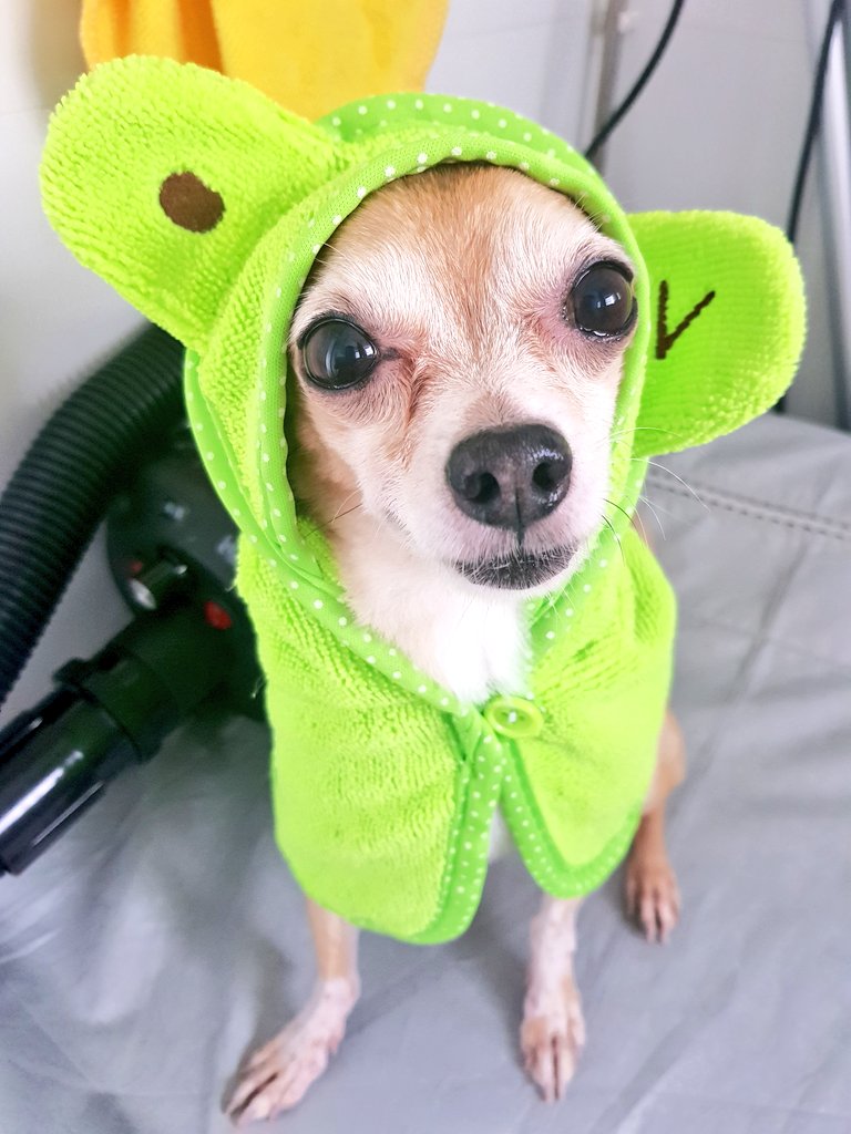 EarKurt's tweet photo. Peek-A-Boo! https://t.co/P63AeU0H4u