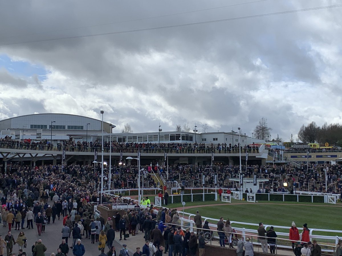 Show Hire Ltd tweet media