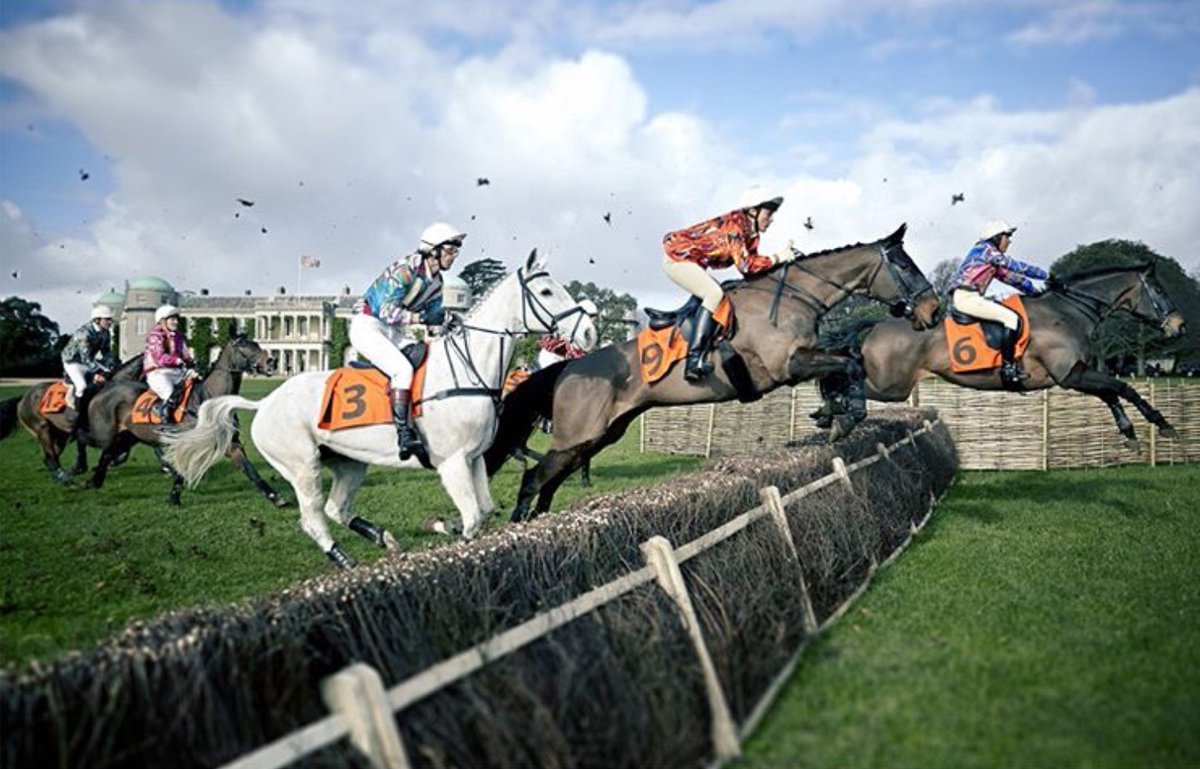 TerriManduca's tweet photo. It’s #GoldCup Week in Cheltenham! 
Images taken from Uli Weber book #theallureofhorses published by #assouline
#horseracing #horses #equestrian #cheltenham #goldcupweek #photography #uliweber #terrimanduca #portraiture #sport #action #society https://t.co/KLNcAHYFzl