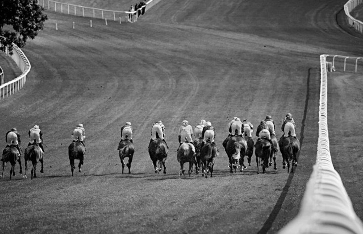 It’s #GoldCup Week in Cheltenham! 
Images taken from Uli Weber book #theallureofhorses published by #assouline
#horseracing #horses #equestrian #cheltenham #goldcupweek #photography #uliweber #terrimanduca #portraiture #sport #action #society