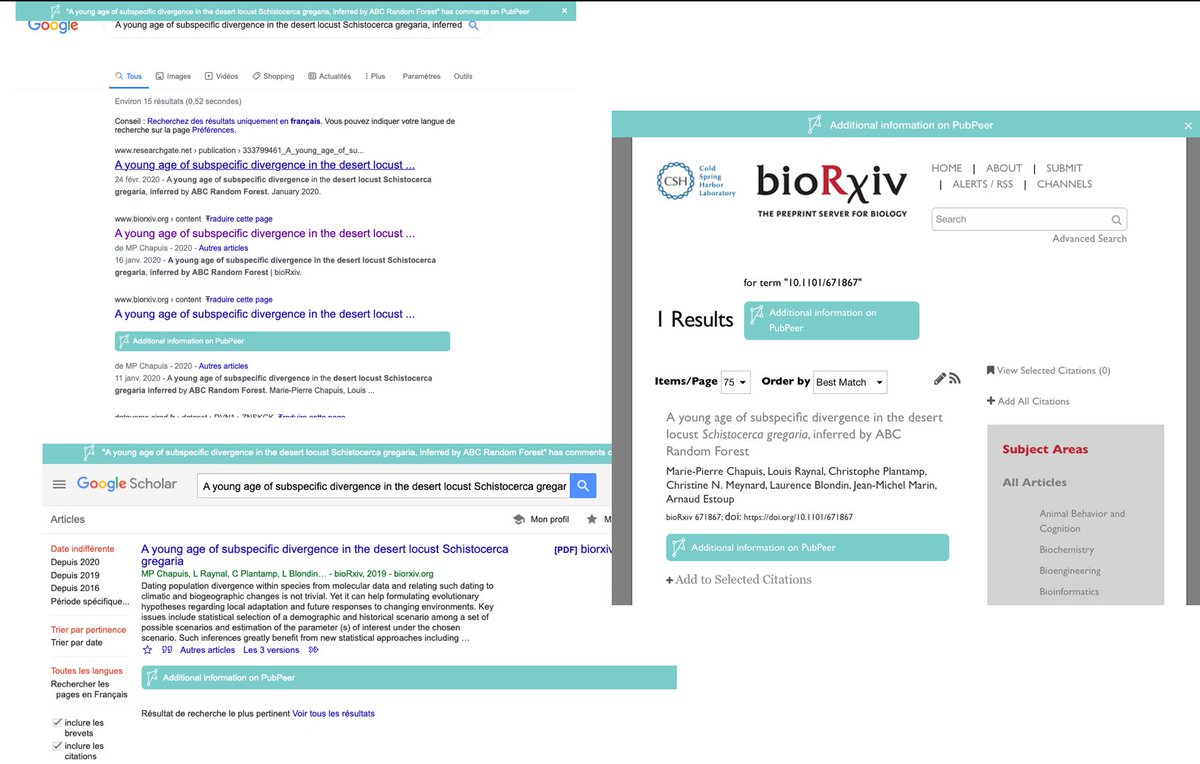 PCIEvolBiol's tweet photo. This @PubPeer browser extension allows to sort #preprint recommended or not by a @PeerCommunityIn in search engines such as Google Scholar, Google https://t.co/aAZq3ZTgKV