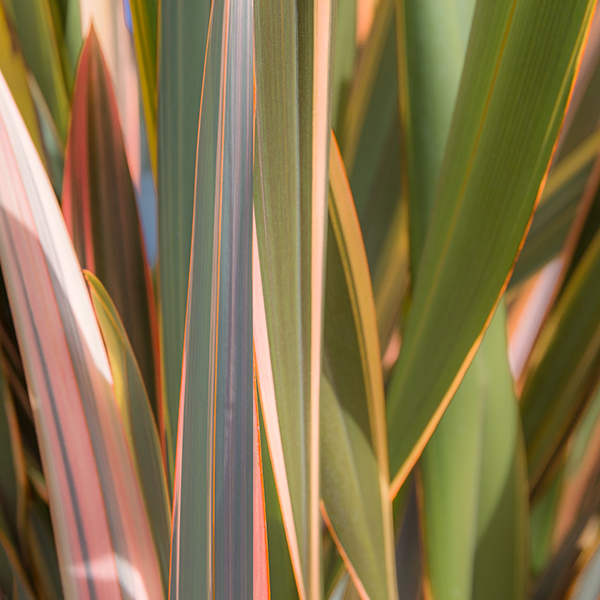 StudioELArt's tweet photo. Barbara grew up in Nashville, Tennessee, and influenced by the close proximity of natural open spaces and the Great Smokey Mountains where she often hiked as a child.
.
.
.
#abstractart #artrelease #customartwork #interiordesign #newartwork #painting #photography #studioel https://t.co/OP6sZ9QWJJ