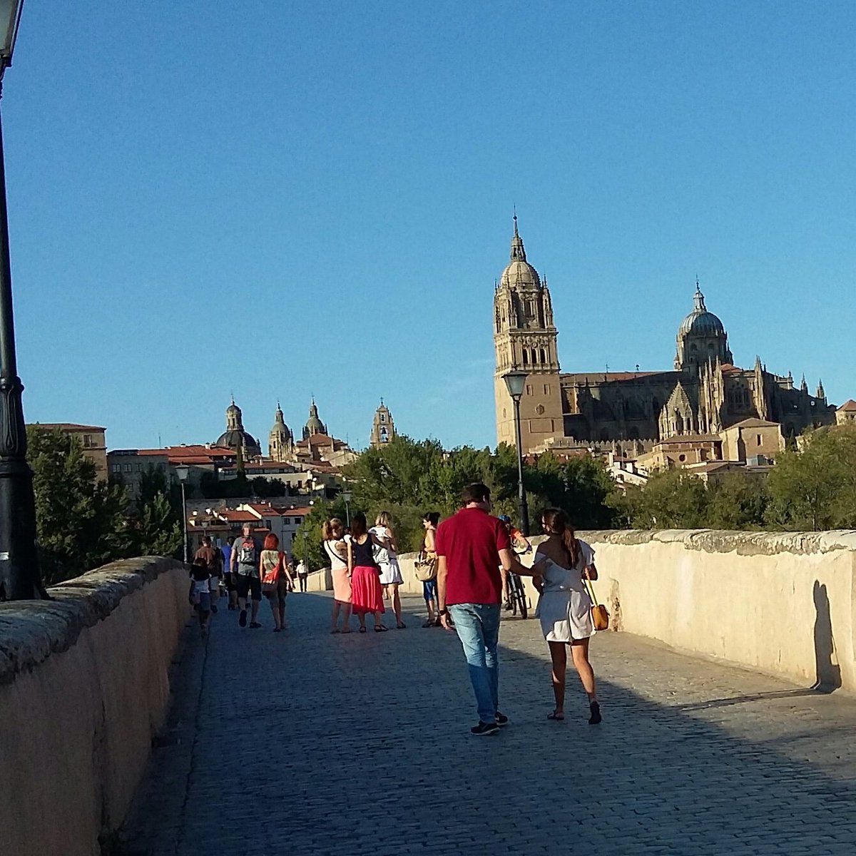 JFX65's tweet photo. No importa lo qué miras....
sino como lo ves🌞🌹🎶🎶
#Salamanca
#tardede.....
#Vidayrelax
#cafe https://t.co/4JPm8rxyfX