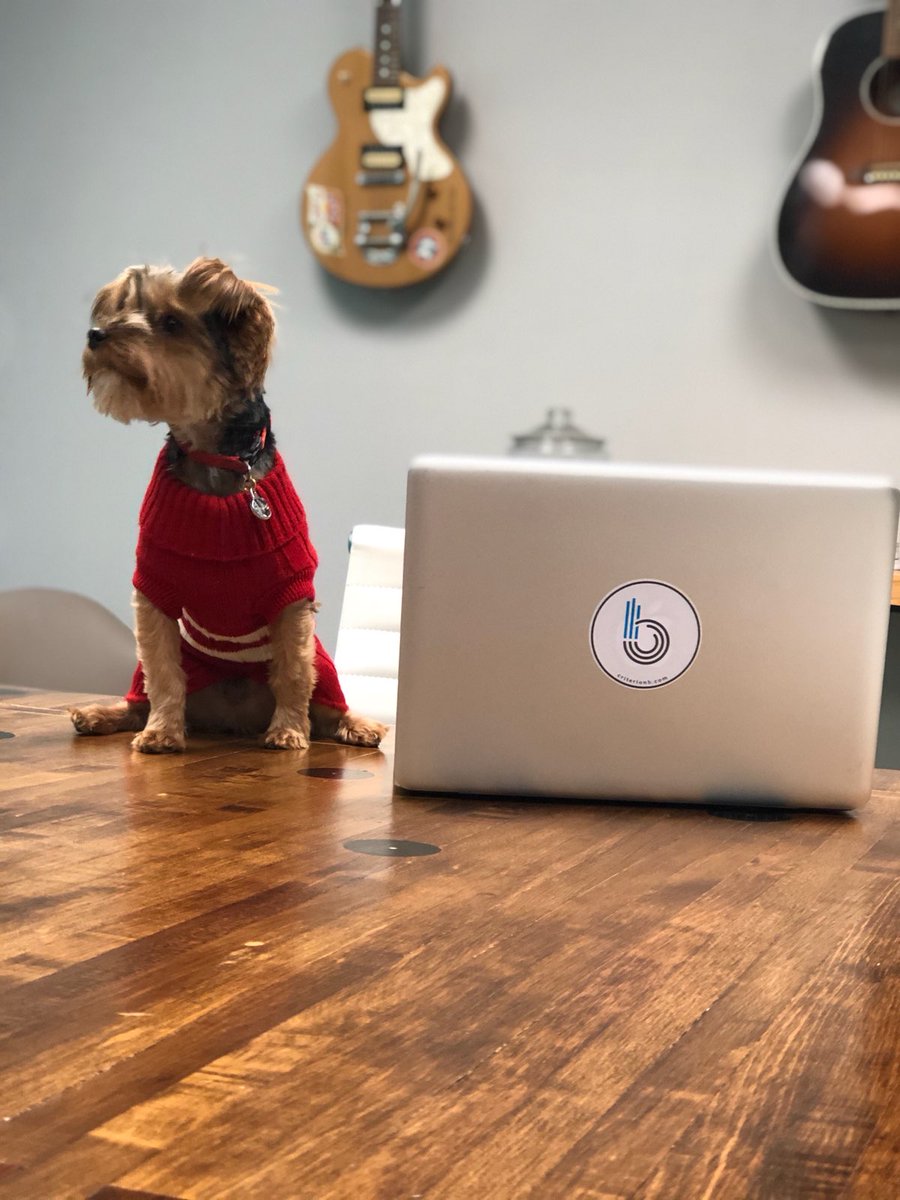 We're working like a dog over here...