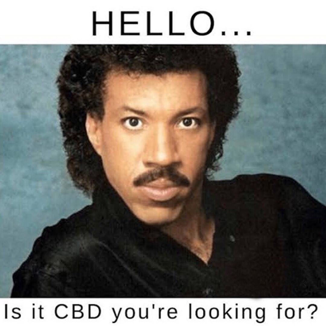 CBD_Plaza's tweet photo. βHELLO... is it CBD youβre looking forrrrr?β π¨π»βπ¦±π²
#CBD #HempCBD #MEMES #Health #CBDMemes #Hello #cbdforlife #cbdhealth #memesdaily #LionelRichie #CannabisCommunity #cbdproducts #TooGood #meme #trendingnow #cbdoil #cbdftw #naturalremedy #nature https://t.co/kAyQeZJDwe