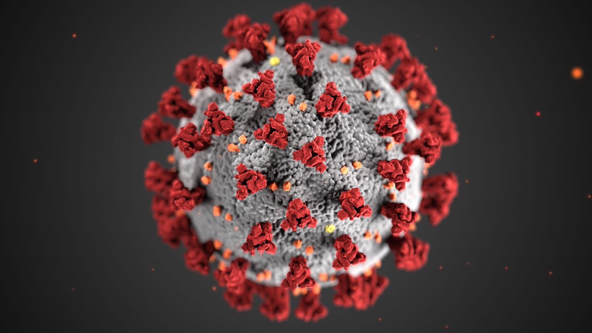 LurieChildrens's tweet photo. Please join us for a #Coronavirus #COVID19 Facebook Live (https://t.co/oN54HCdciI), tomorrow, Thursday, March 12 at 1:30 p.m. (CST). We will be joined by Infectious Disease expert Dr. @Larry_Kociolek and Child and Adolescent Psychiatrist Dr. Nicholas Hatzis. #all4your1 https://t.co/6nBVwMX5ht