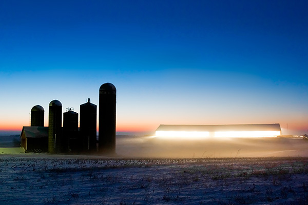 CanarmAgSystems's tweet photo. Lighting affects your herd's performance. So whether you are building a new barn or looking to replace your current lighting system, there are several things you should consider. Our Ag Lighting Manager, Chris - @aglightguy explains - https://t.co/ZBc31XalzG

#AgLighting #Dairy https://t.co/W6g73q9rcT