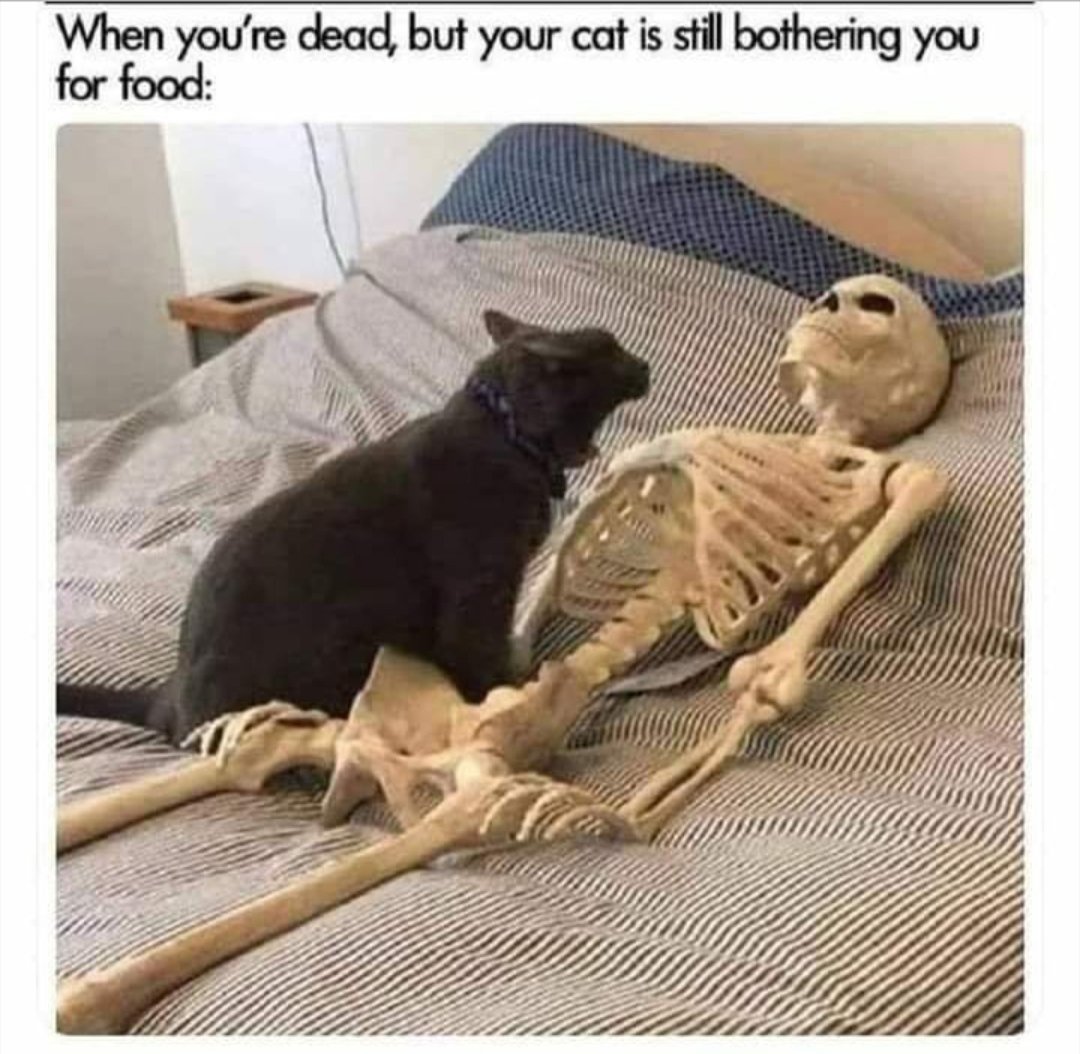 Erinina's tweet photo. Bed Rest from cancer treatment complications and now this kidney infection got me like: https://t.co/TnbqJguoGs