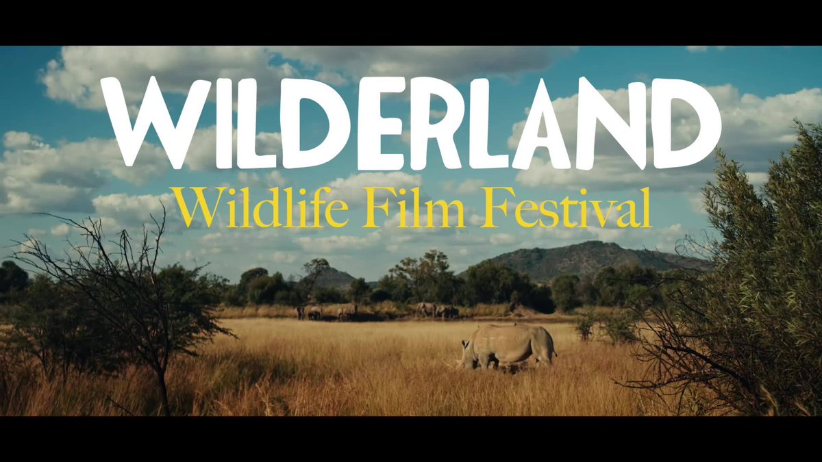 The <a href="/WilderlandFest/">Wilderland Wildlife Film Festival</a> is at <a href="/RGS_IBG/">Royal Geographical Society (with IBG)</a> in #London tonight, March 11th, starts 7:30pm! 
Don’t miss out on an unforgettable evening of excellent #wildlifefilm watching. 🎥 Get together friends &amp; grab your tickets before they sell out!🚨 TICKETS 👉🏼 wilderlandfestival.com/tickets #LondonEvents