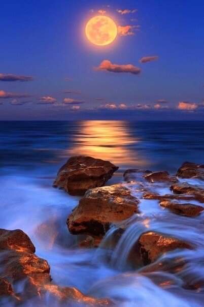 good evening/добрый вечер