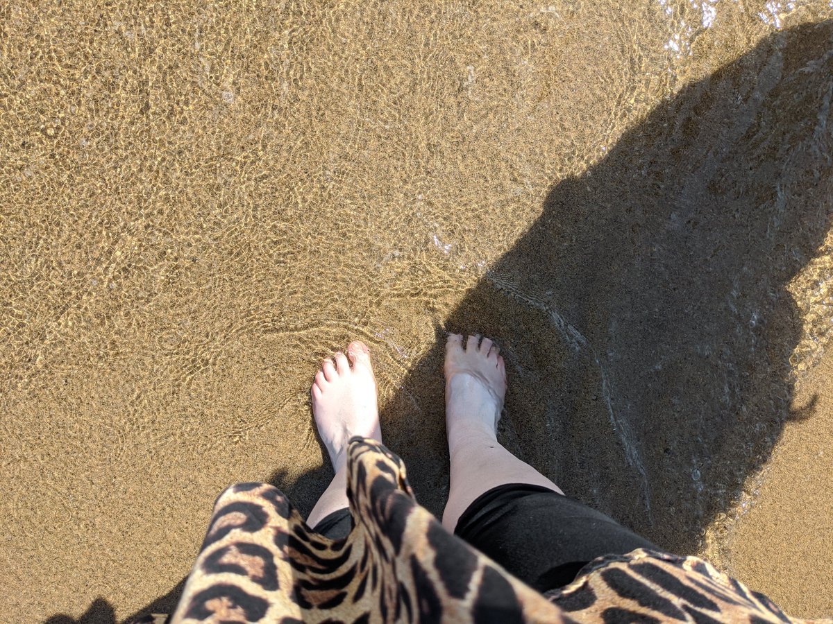 VJOsgood's tweet image. #BasicBeach