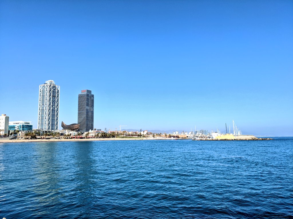 VJOsgood's tweet image. #BasicBeach