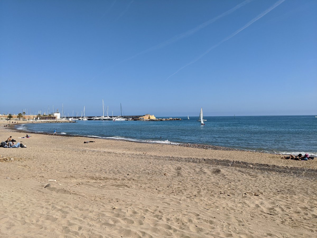 VJOsgood's tweet image. #BasicBeach