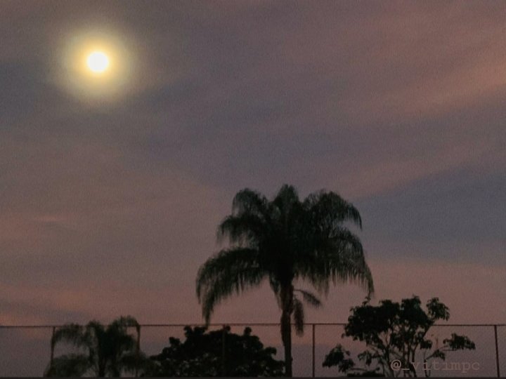victimpc's tweet photo. 🌙 https://t.co/bpvGqbxJYf