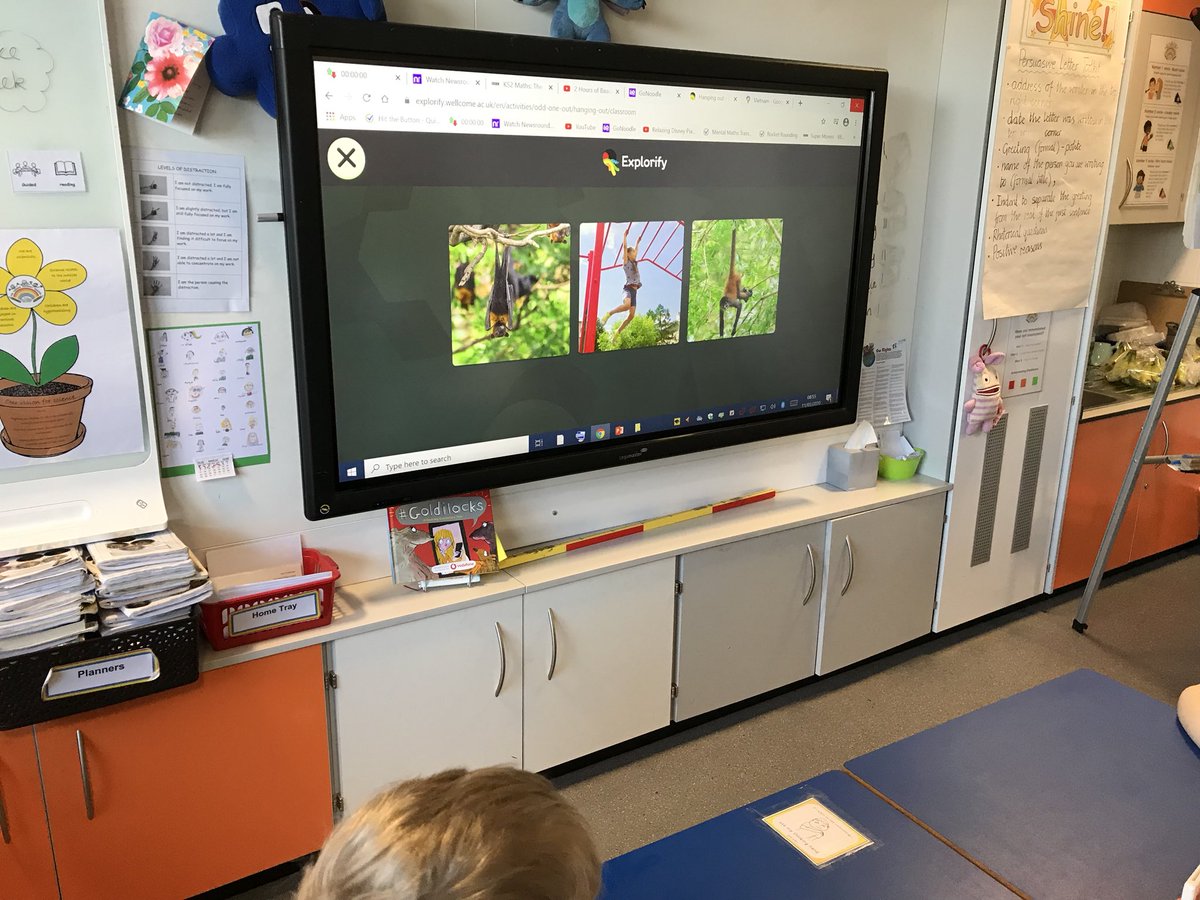 TGPS_NorthLincs's tweet photo. 4S are enjoying discussing odd one out on @ExplorifySchool. Theyβve even used knowledge that will help them with evolution and inheritance in Year 6! #BSW20 #TGPSYear4 #TGPSScience #TGPSWorkingScientifically #TGPSSTEM https://t.co/H7BBwppCe0