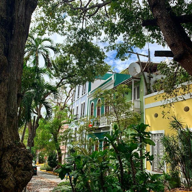 crimonrou's tweet photo. En mi Viejo San Juan ❤️🎶 https://t.co/bK6FUOfPA1 https://t.co/DwjCcbPm5O