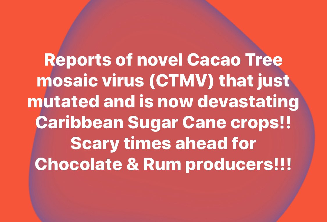 Nicholas Feris tweet media