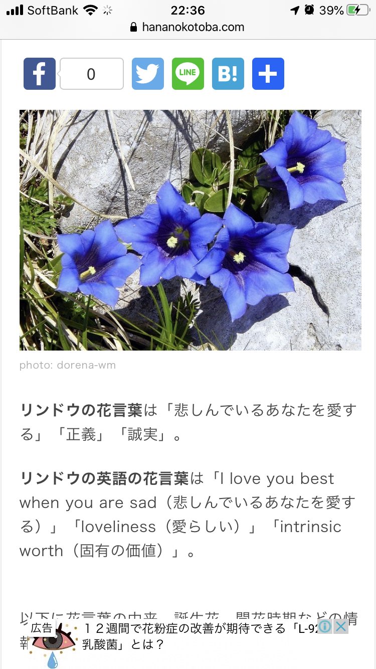 تويتر ｲﾂｷ C100 日 東リ19a على تويتر リンドウ の花言葉 悲しむあなたを愛するって最ｯｯｯｯｯ高じゃないですか おじさんはねそういう薄暗い関係がね大好物なんだ