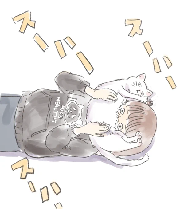 現実的に考えると寝転んでしか装着できない気はしてる 