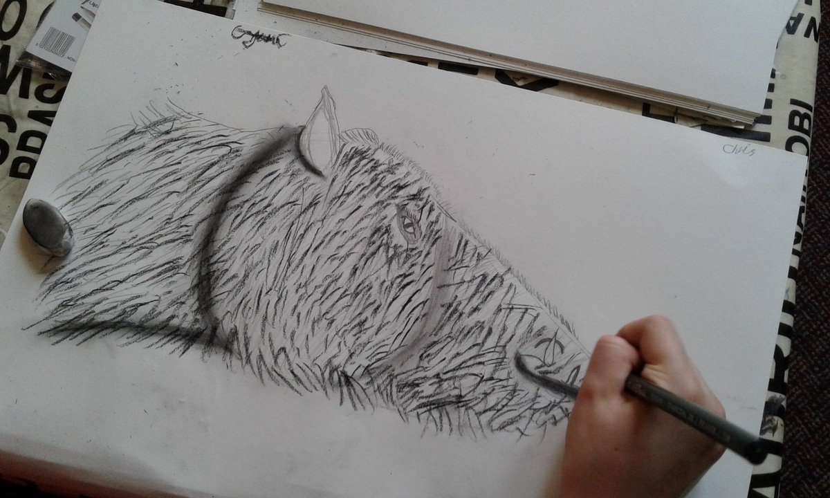 WoolastonSchool's tweet photo. Endeavour Art class -  We drew a wild boar head using art pencils of different hardness. https://t.co/ptzq01SqzL