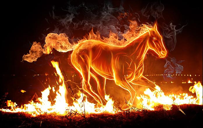 Сражение выигрывает тот, кто твёрдо решил выиграть.