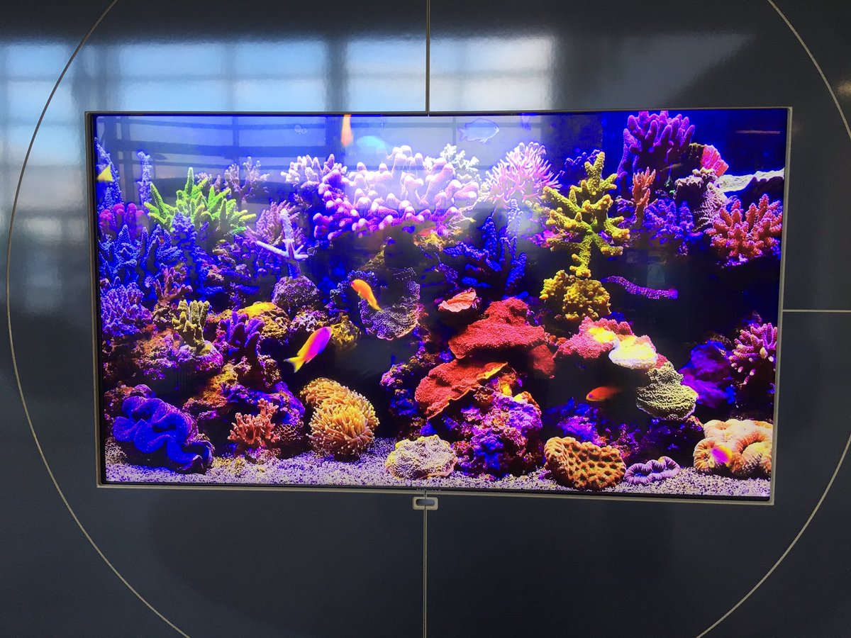 Jeannie63992554's tweet image. Got to think south of the border this week, meeting with a client and delivering social media training in house.#thinkpr #praberdeen #rosen