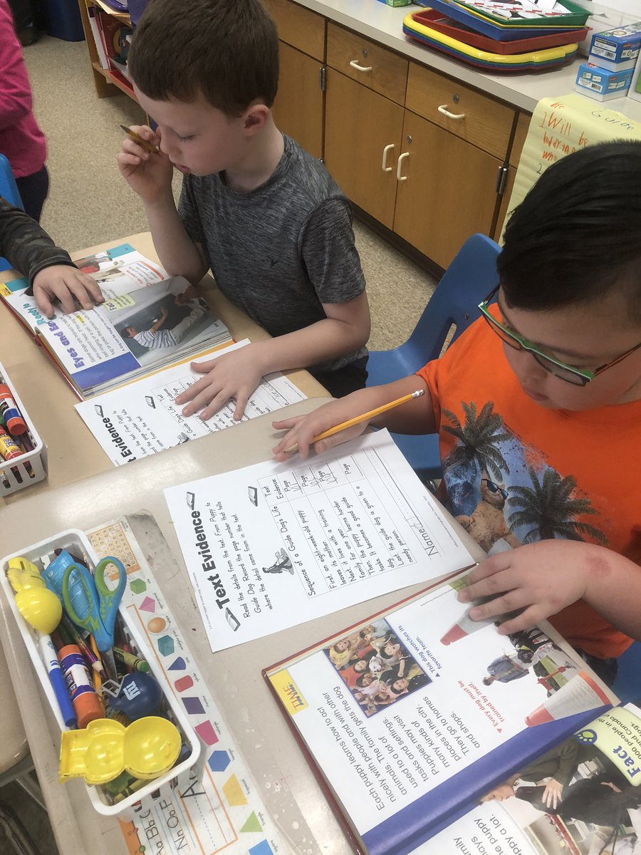 Laurie Collacchi tweet media