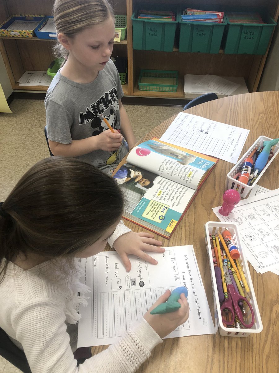 Laurie Collacchi tweet media