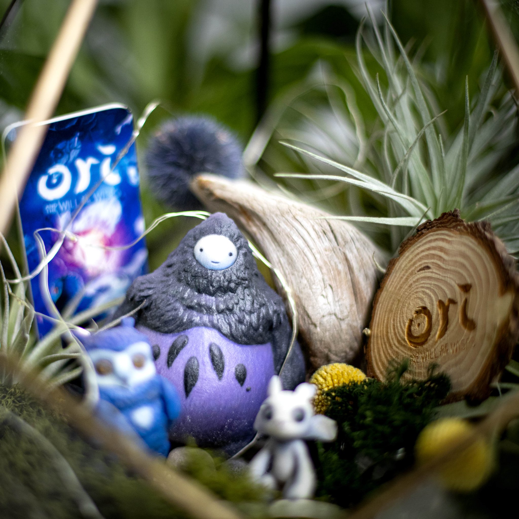 Xbox Ireland on Twitter "RT + Follow XboxIE_Official to be in with