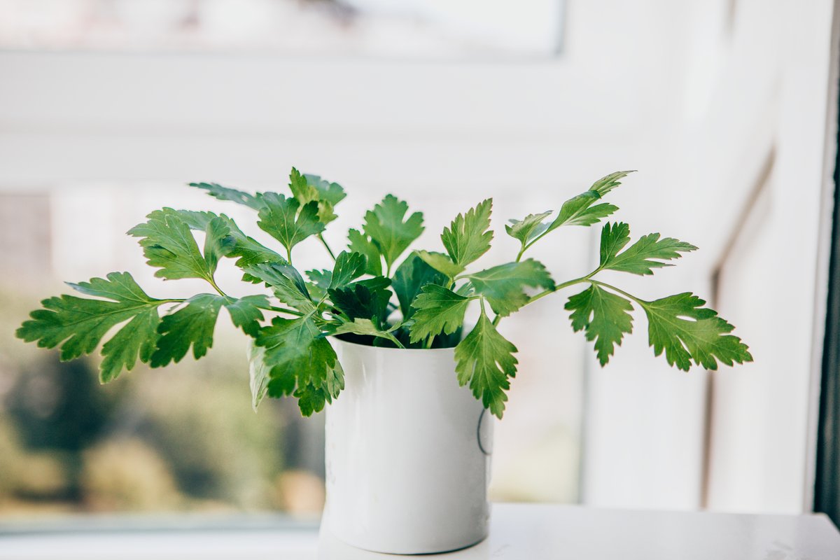 ValleyUPVC's tweet photo. Who else can't wait for Spring?🌿 If you want to get your home Summer ready with our amazing UPVC windows, get in touch📞 #windows #upvc #kent https://t.co/Le8PO9wHR4