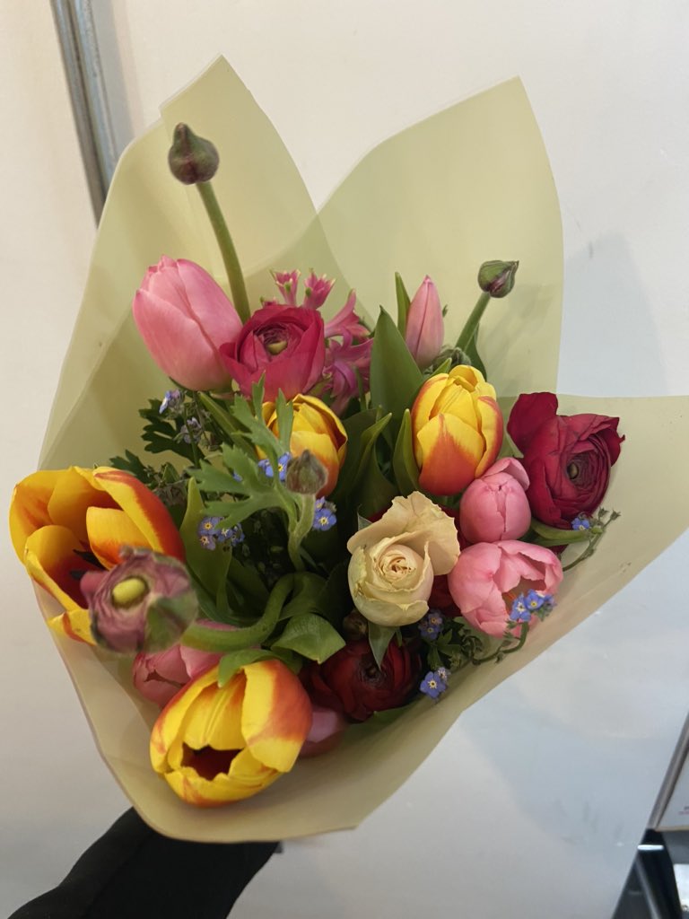 It’s been a Wolf Wednesday in the space today - Sofie’s friend Kobe has popped in to say hello and deliver some flowers to the girls. We are all pawsitively in love with this handsome chap 🐺  11/10 good boy