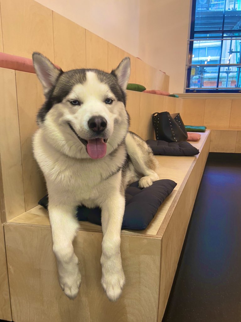 Accelerate Manchester tweet media