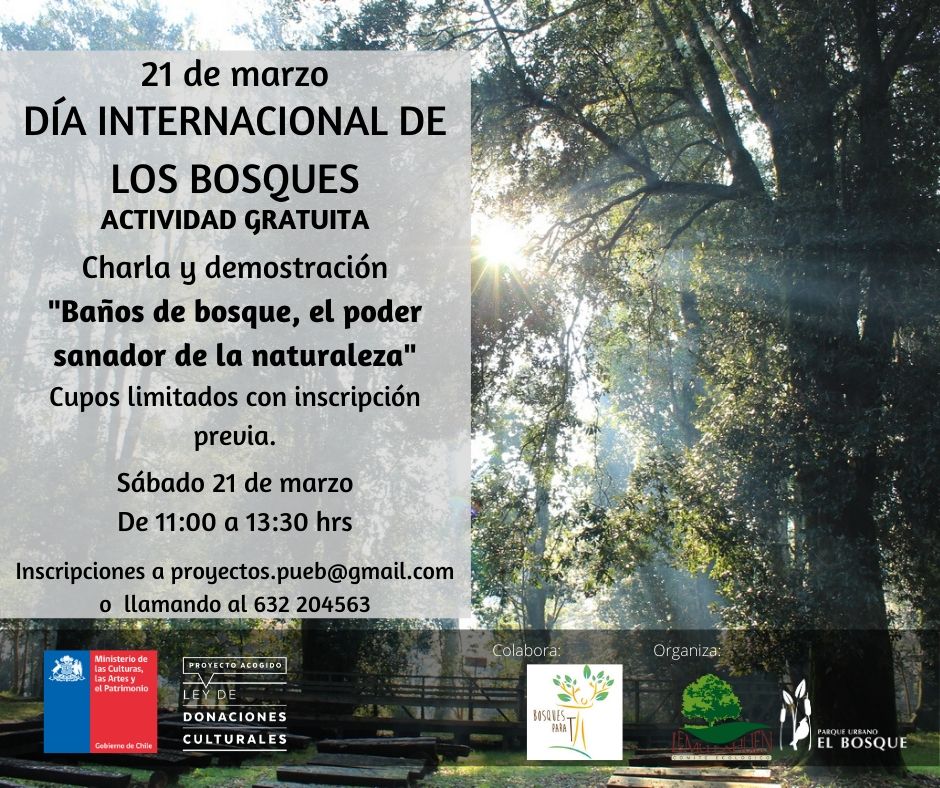 redesambiental's tweet photo. El 21 de marzo el @PUEBValdivia celebrará el día de los bosques con la charla "Baños de bosque, el poder sanador de la naturaleza" y el taller “Pequeños naturalistas del bosque”.

Estas actividades son gratuitas, solo debes inscribirte en proyectos.pueb@gmail.com o al 63 2 204563 https://t.co/wrodyuXnjt