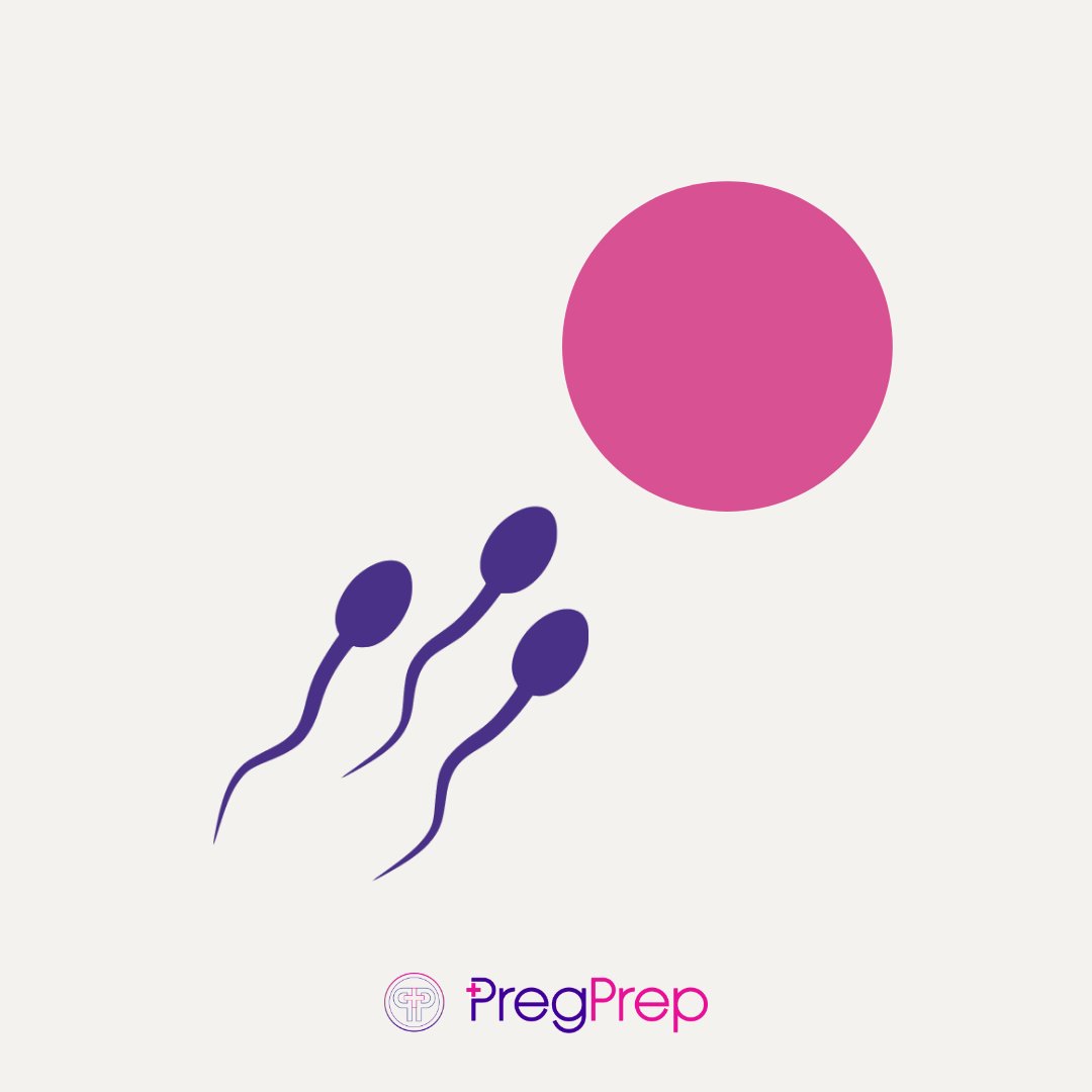 PregPrep tweet picture