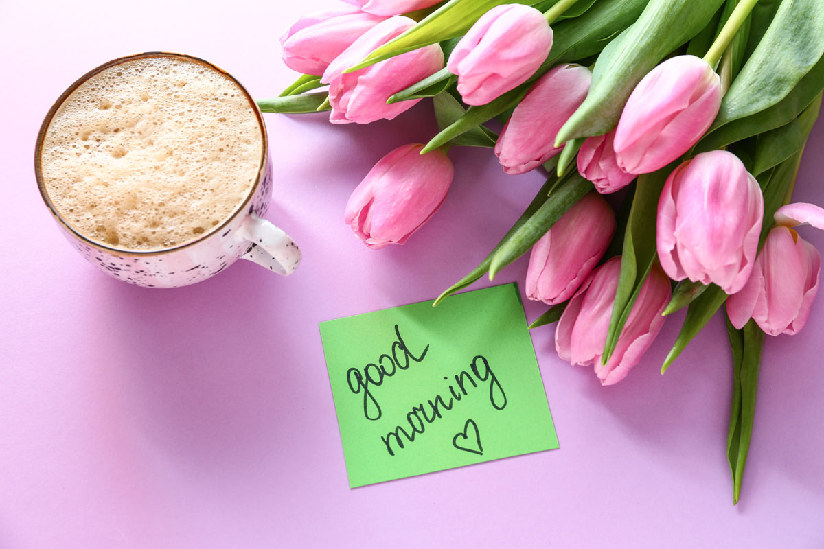marksmcintosh's tweet photo. Wake up and have a wonderful morning!
 #GrowYourB2B  #b2bLeadGeneration #MoreRevenue #QualifiedLeadGeneration 
https://t.co/AItZO1lvtX https://t.co/Lg3UKH6RTQ