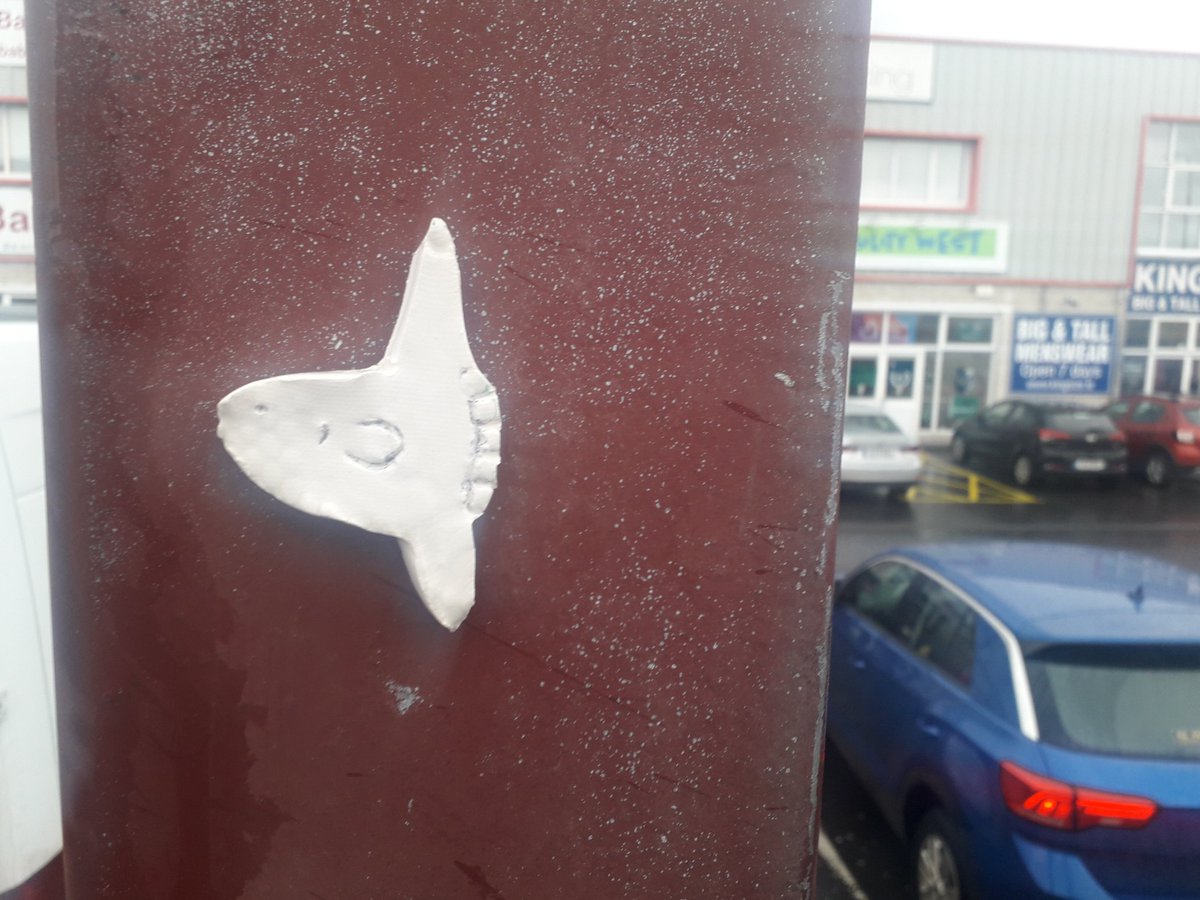 EndangeredDAVE's tweet photo. Ceramic sunfish on tuam road https://t.co/1tmk8H7ZSM