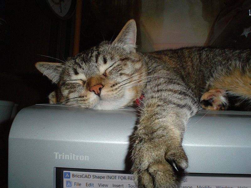 OctaveBricsCAD's tweet photo. The Lazy Man’s Guide to #BricsCADShape will solve all your BricsCAD Shape problems. https://t.co/FSyBL9BY8S #BricsCAD #3dmodeling #freesoftware #freeCADsoftware #freeCADprogram #CADtutorial https://t.co/LwTf55FVlG