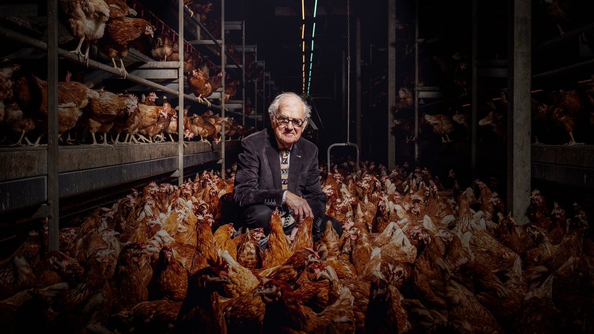 Poultry expert Dr. Ir. Piet Simons about HatchCare: Dutch researchers discovered that it is much better to feed and water the animal immediately after hatching. Read the entire interview on the Bolidt website: loom.ly/hynsObQ