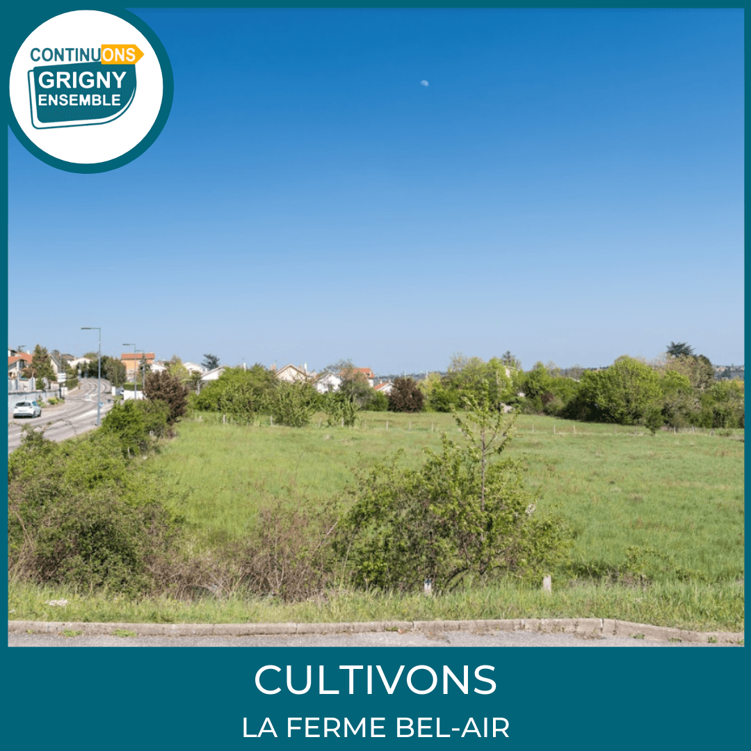 GRIGNYensemble's tweet photo. [PROJET 2020] 👉 POUR UNE VILLE RAYONNANTE 2/2 https://t.co/ceuivgUu13