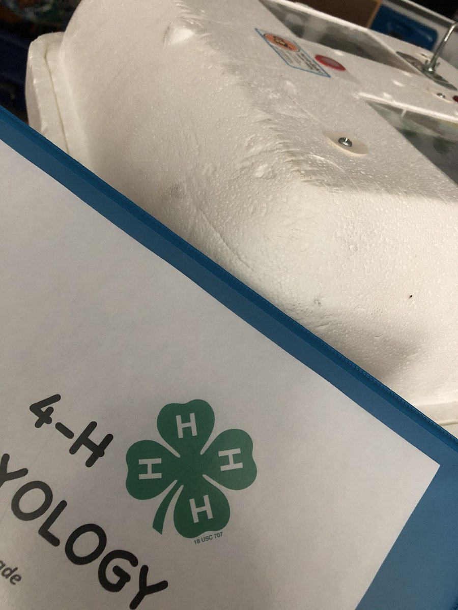 We are about to get 20 new classmates!!! So excited for this new project t and more info will be posted next week! #STEM #4H <a href="/OnslowSchools/">Onslow County Schools</a> <a href="/HcesG/">HCES Gators</a> <a href="/OnslowCounty/">Onslow County</a>