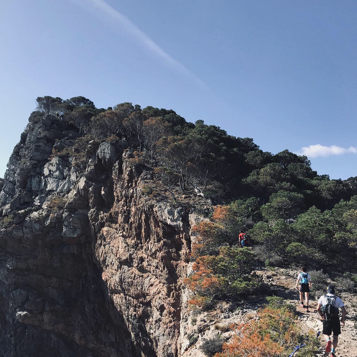 Claudia Schroegel tweet media