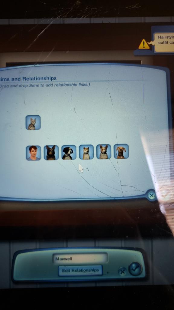 pokemon66544's tweet photo. @lilsimsie I made my own version of the Wolfpack challenge in sims 3 I had to use a cat since you cant make raccoons in sims 3 https://t.co/uuXnQt9WmH