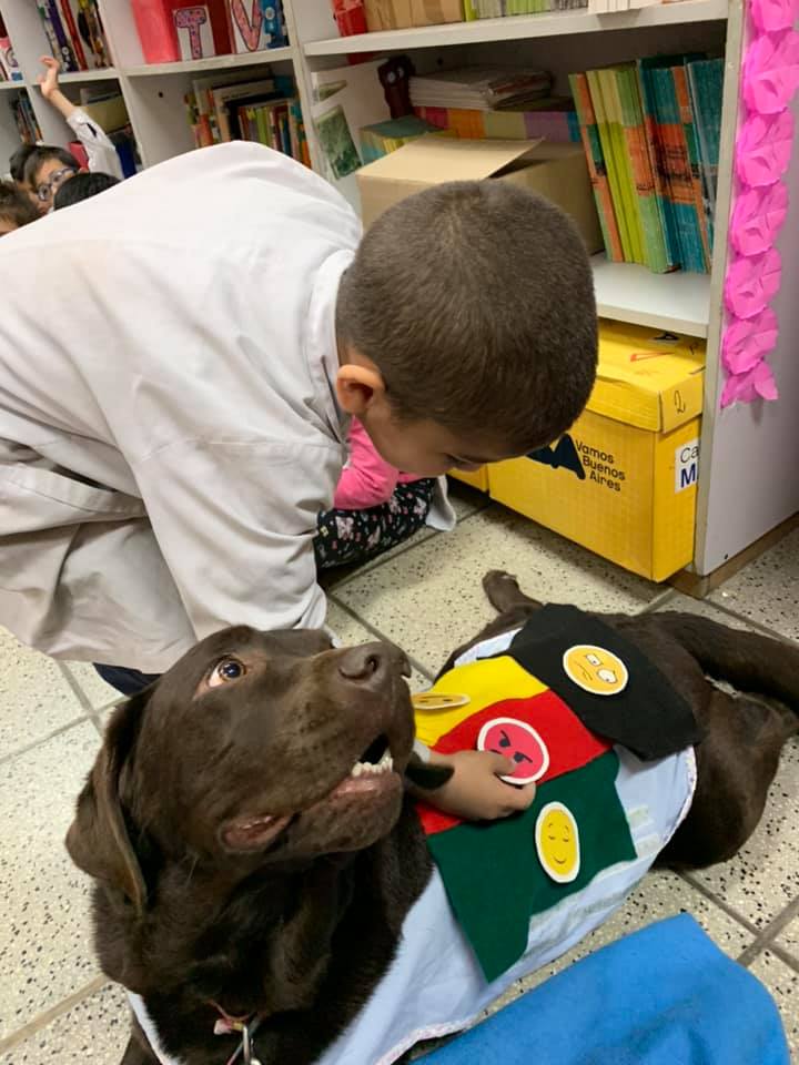 El enfado es una emoción básica que sentimos todos. Sin embargo, cuando se pierde el control,  se vuelve destructivo. ¿Cómo ayudar a los niños y adolescentes a gestionar esta emoción? Te esperamos en el Curso de Educación Emocional para el bienestar personal y social